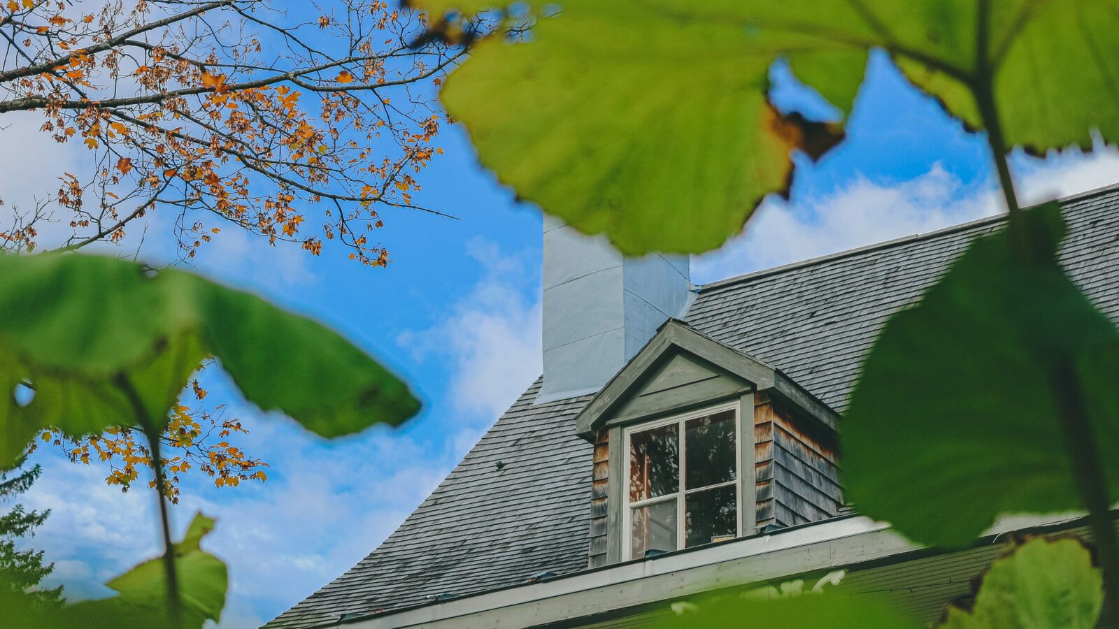 House roof with a dormer window and chimney